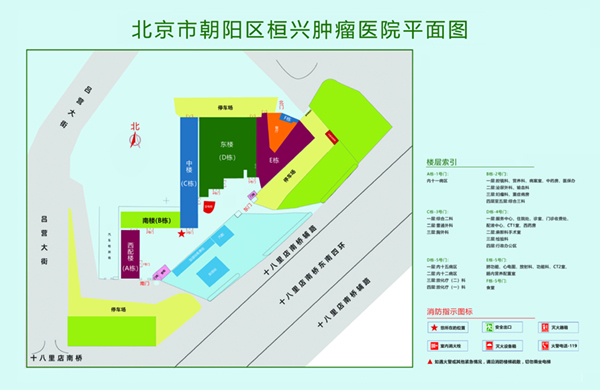 鸡巴操逼高潮迭起视频北京市朝阳区桓兴肿瘤医院平面图